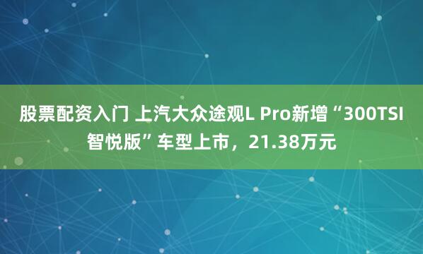 股票配资入门 上汽大众途观L Pro新增“300TSI智悦版”车型上市,21.38万元