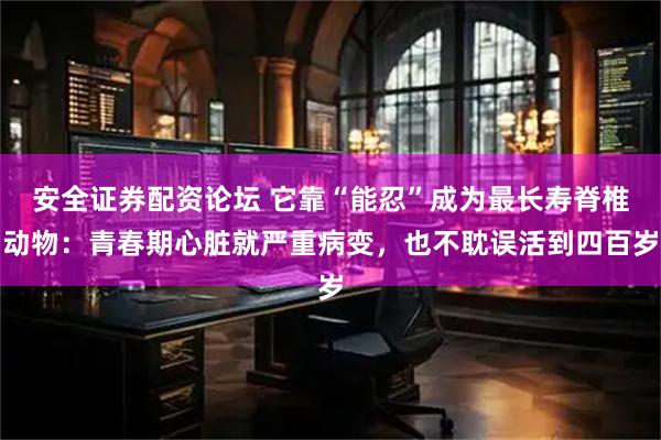 安全证券配资论坛 它靠“能忍”成为最长寿脊椎动物：青春期心脏就严重病变，也不耽误活到四百岁