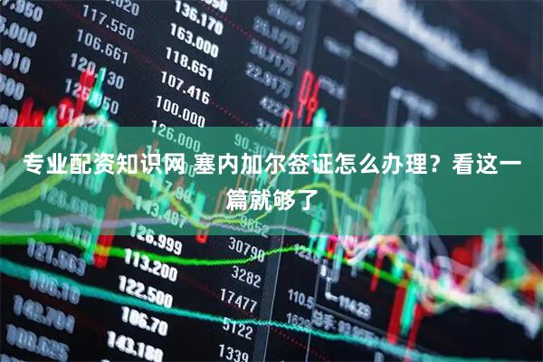 专业配资知识网 塞内加尔签证怎么办理？看这一篇就够了
