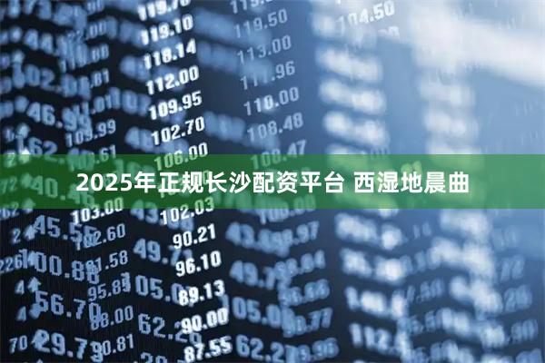 2025年正规长沙配资平台 西湿地晨曲