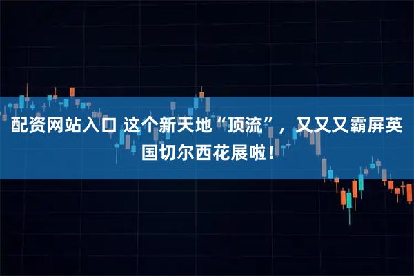配资网站入口 这个新天地“顶流”，又又又霸屏英国切尔西花展啦！