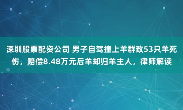 深圳股票配资公司 男子自驾撞上羊群致53只羊死伤，赔偿8.48万元后羊却归羊主人，律师解读